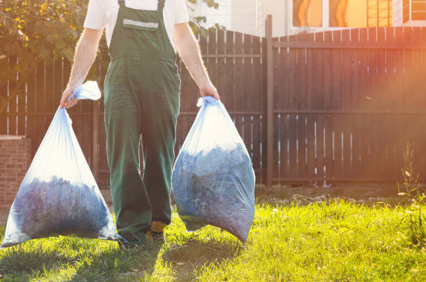 Best Junk Hauling Services  in Mount Ida, AR